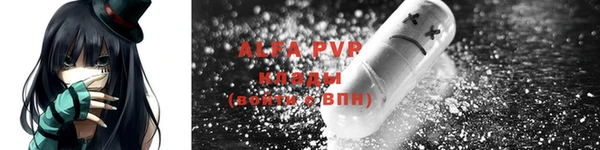 тгк Абаза