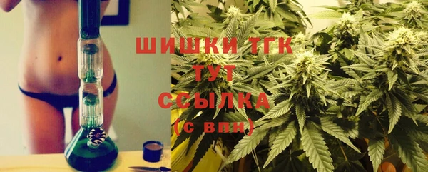 тгк Абаза