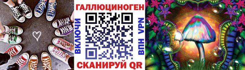 blacksprut   Мосальск  Галлюциногенные грибы Psilocybe 