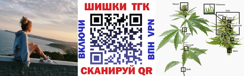 Бошки Шишки план  Мосальск 